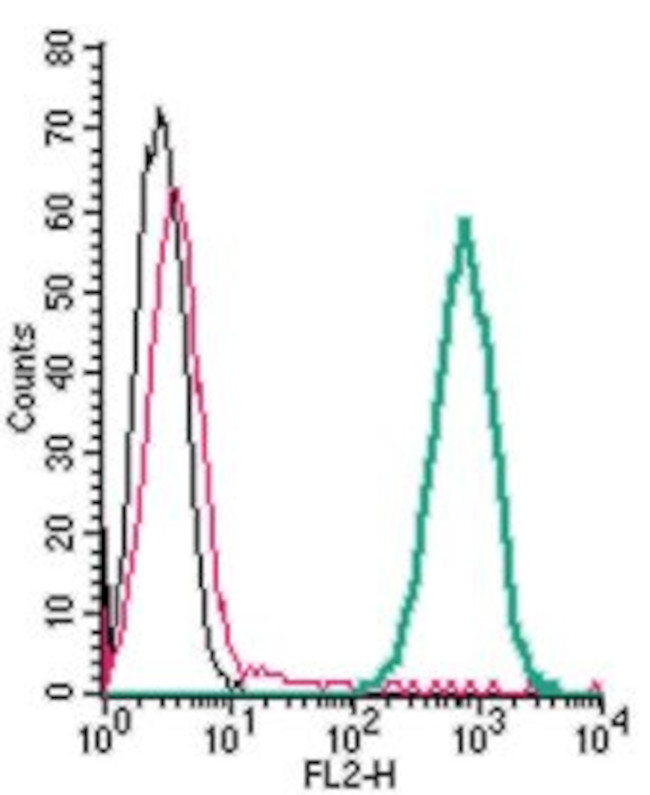 xCT/SLC7A11 (extracellular) Antibody in Flow Cytometry (Flow)