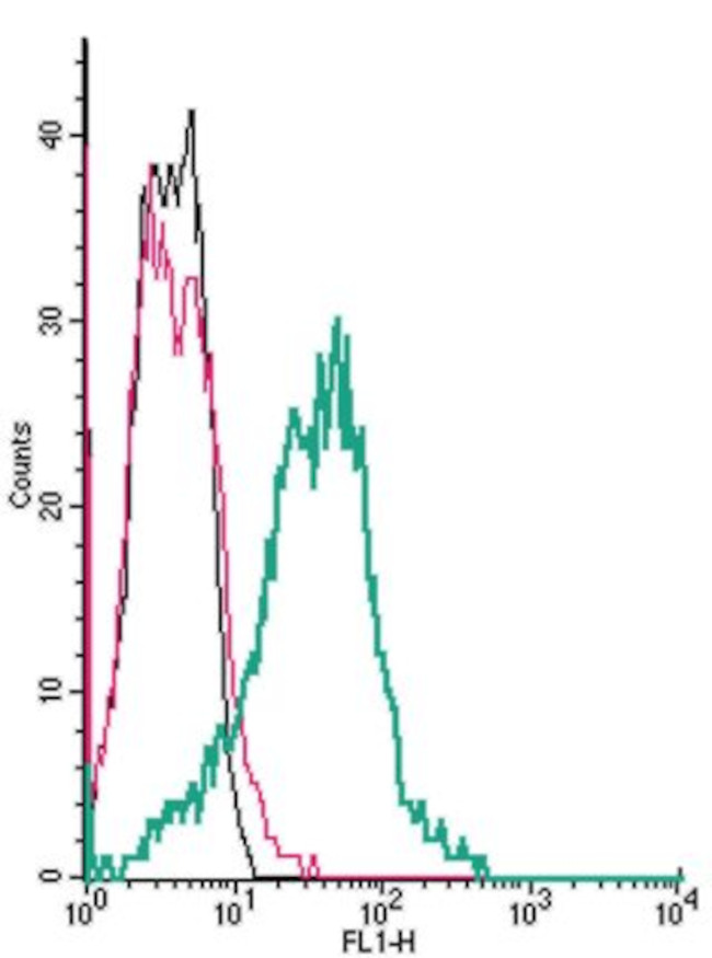 Na+/H+ Exchanger 1 (NHE-1) (extracellular) Antibody in Flow Cytometry (Flow)