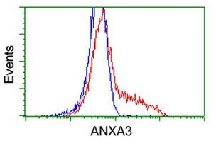 ANXA3 Antibody in Flow Cytometry (Flow)