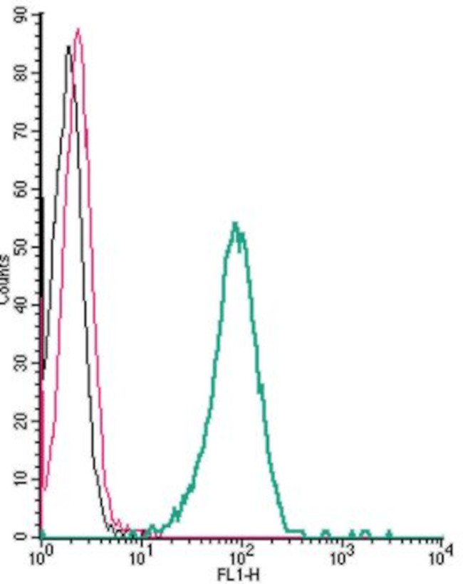 KV1.3 (KCNA3) (extracellular) Antibody in Flow Cytometry (Flow)