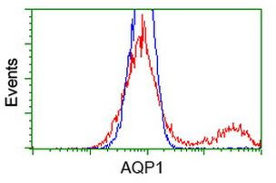 AQP1 Antibody in Flow Cytometry (Flow)