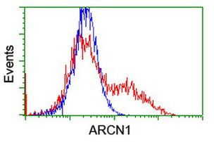 ARCN1 Antibody in Flow Cytometry (Flow)