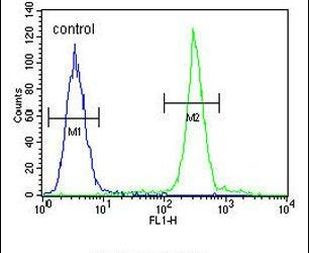 ARL8A Antibody in Flow Cytometry (Flow)