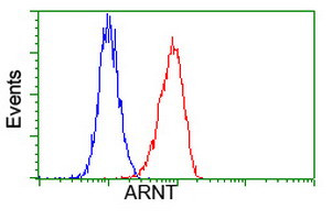 ARNT Antibody in Flow Cytometry (Flow)