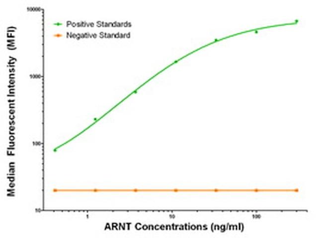 ARNT Antibody in Luminex (LUM)