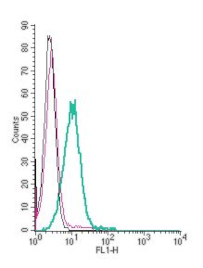 Somatostatin Receptor Type 2 (extracellular) Antibody in Flow Cytometry (Flow)