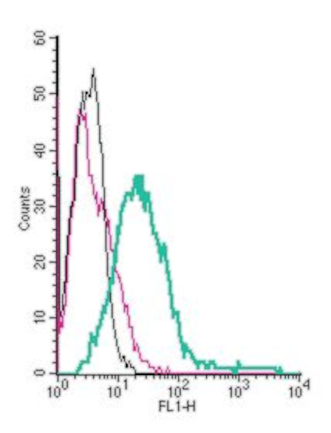 5HT7 Receptor/HTR7 (extracellular) Antibody in Flow Cytometry (Flow)