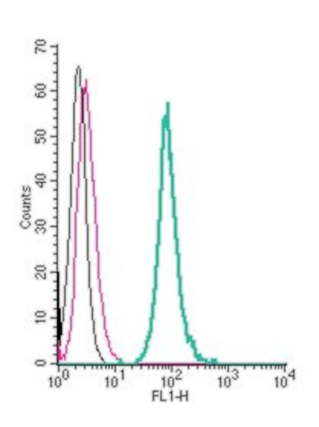 5HT7 Receptor/HTR7 (extracellular) Antibody in Flow Cytometry (Flow)