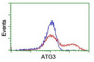 ATG3 Antibody in Flow Cytometry (Flow)