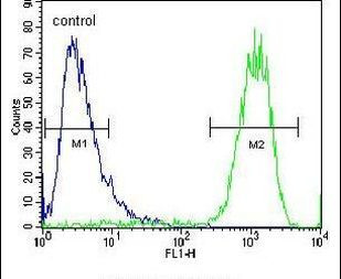 ATP5H Antibody in Flow Cytometry (Flow)