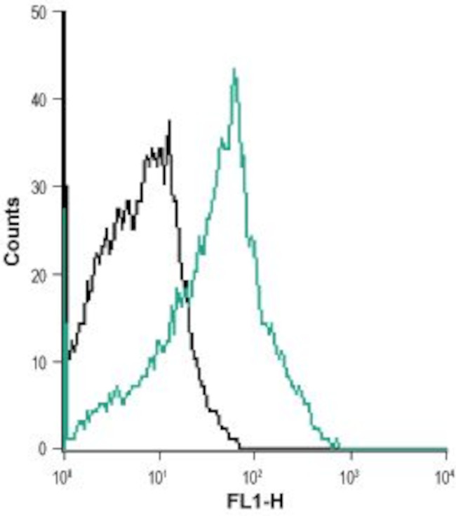 Neurokinin 1 Receptor (NK1R) (extracellular) Antibody in Flow Cytometry (Flow)