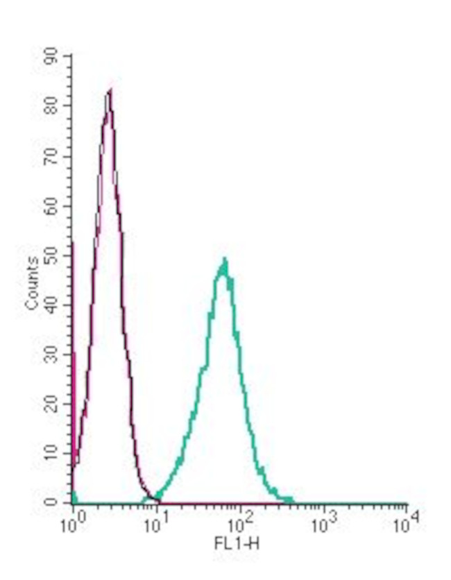 VPAC1 (VIPR1) (extracellular) Antibody in Flow Cytometry (Flow)