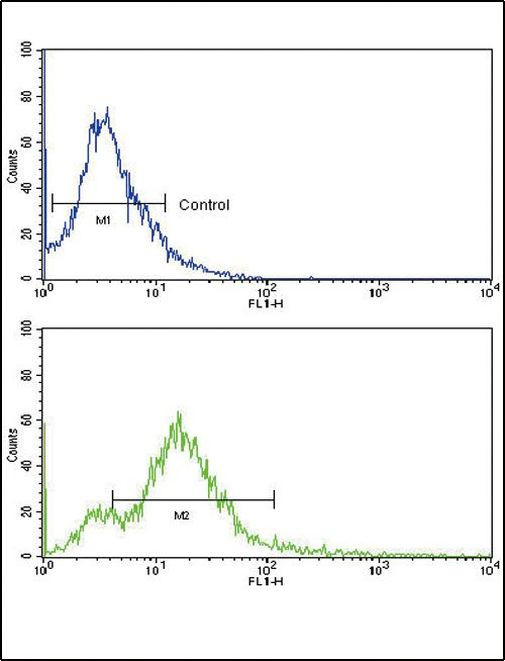 ACVR1B Antibody in Flow Cytometry (Flow)