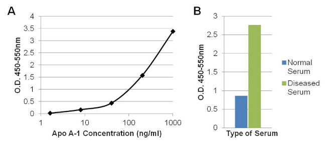 ApoA1 Antibody in ELISA (ELISA)