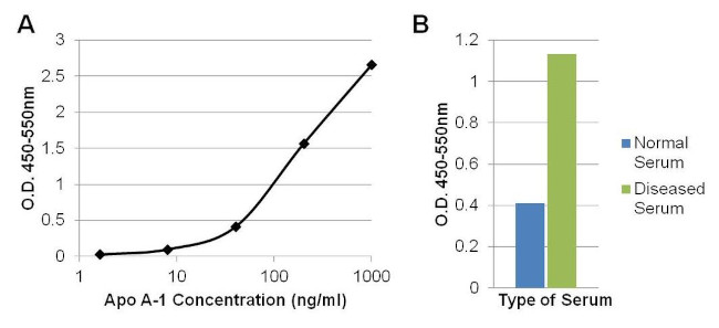 ApoA1 Antibody in ELISA (ELISA)