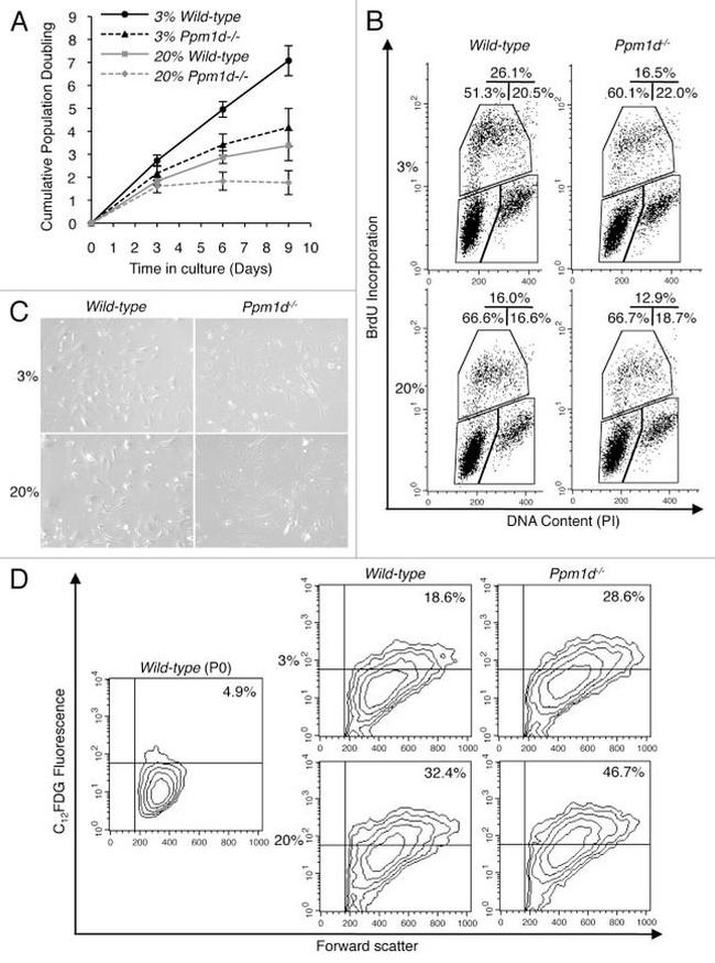 BrdU Antibody in Flow Cytometry (Flow)