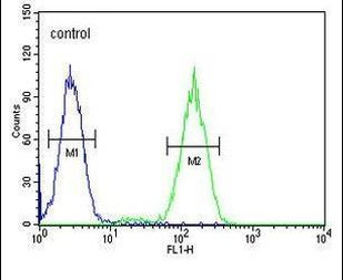 BCKDHB Antibody in Flow Cytometry (Flow)