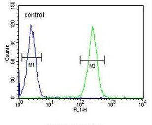 BCORL1 Antibody in Flow Cytometry (Flow)