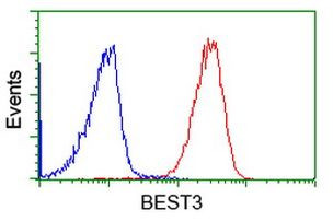 BEST3 Antibody in Flow Cytometry (Flow)