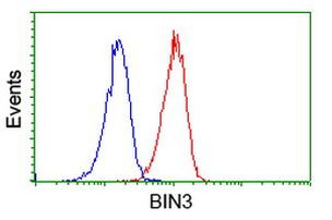 BIN3 Antibody in Flow Cytometry (Flow)