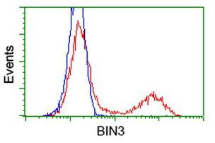 BIN3 Antibody in Flow Cytometry (Flow)