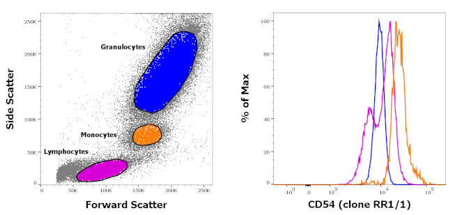 CD54 (ICAM-1) Antibody in Flow Cytometry (Flow)