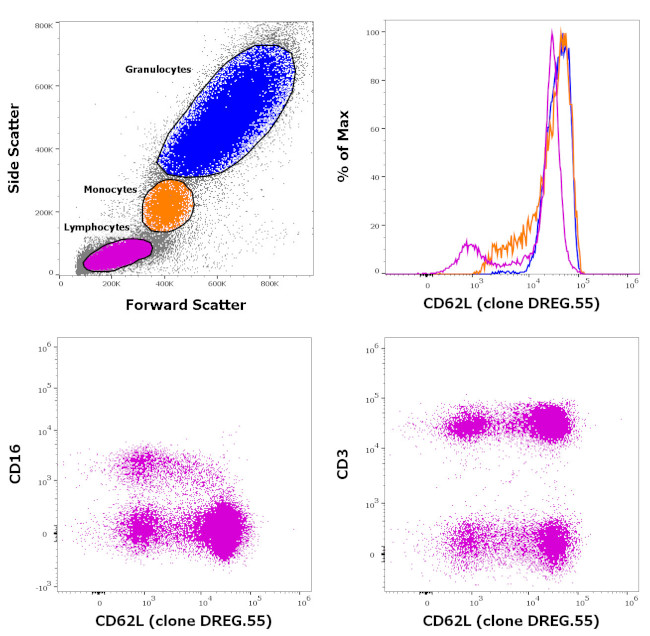 CD62L (L-Selectin) Antibody in Flow Cytometry (Flow)