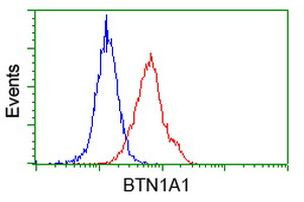 BTN1A1 Antibody in Flow Cytometry (Flow)