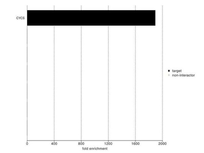 Cytochrome C Antibody