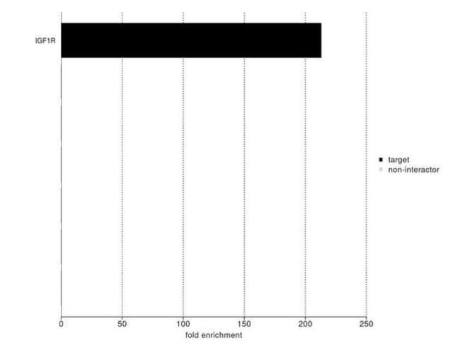 IGF1R alpha Antibody