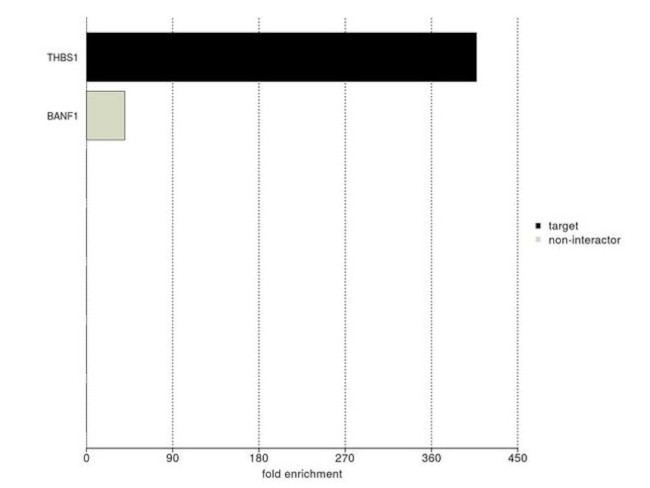 Thrombospondin 1 Antibody