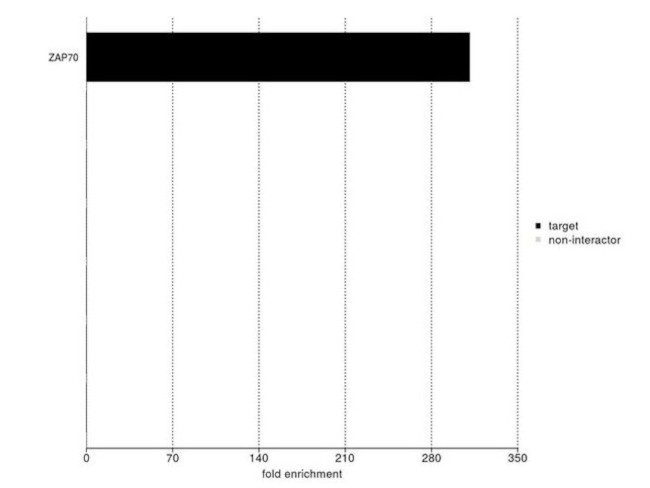 Zap-70 Antibody