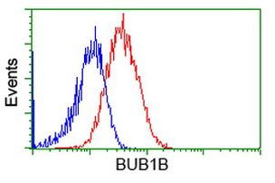 BuB1B Antibody in Flow Cytometry (Flow)