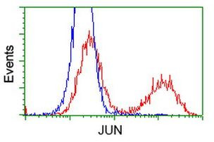 C-Jun Antibody in Flow Cytometry (Flow)