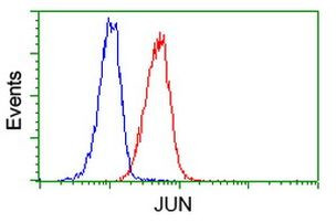 C-Jun Antibody in Flow Cytometry (Flow)