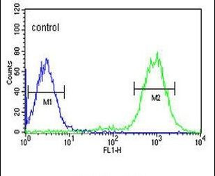 C19orf21 Antibody in Flow Cytometry (Flow)