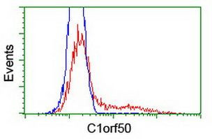 C1orf50 Antibody in Flow Cytometry (Flow)