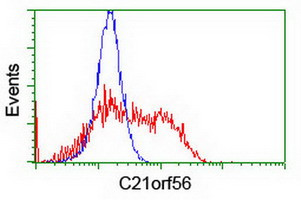 C21orf56 Antibody in Flow Cytometry (Flow)