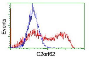 C2orf62 Antibody in Flow Cytometry (Flow)