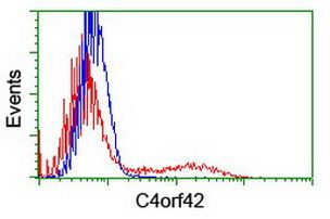 C4orf42 Antibody in Flow Cytometry (Flow)