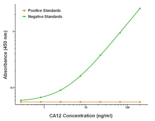 CA12 Antibody in ELISA (ELISA)