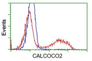 CALCOCO2 Antibody in Flow Cytometry (Flow)