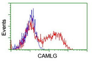CAMLG Antibody in Flow Cytometry (Flow)