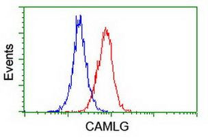 CAMLG Antibody in Flow Cytometry (Flow)