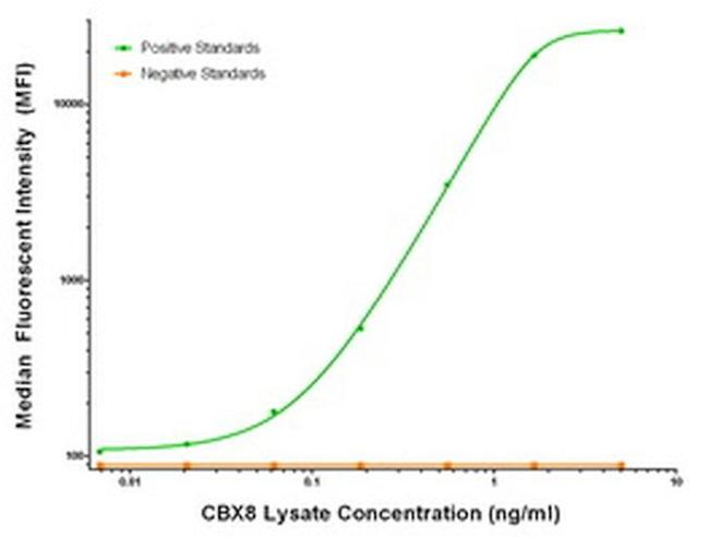 CBX8 Antibody in Luminex (LUM)