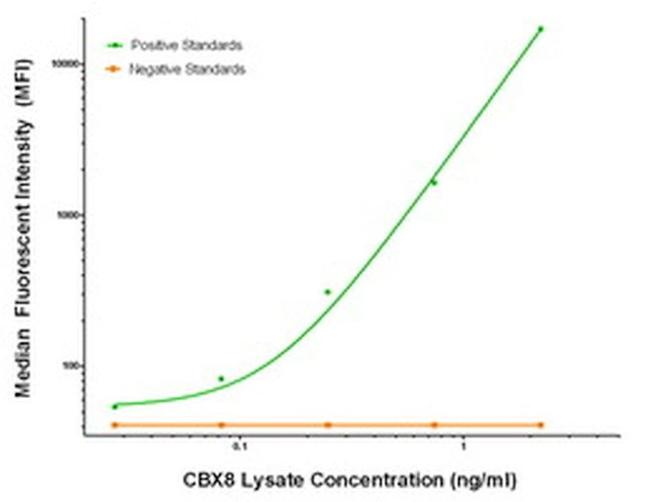 CBX8 Antibody in Luminex (LUM)