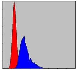 TCP-1 beta Antibody in Flow Cytometry (Flow)