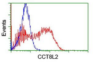 CCT8L2 Antibody in Flow Cytometry (Flow)