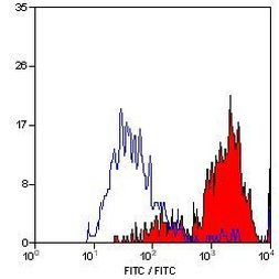 CD11b Antibody in Flow Cytometry (Flow)