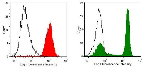 CD4 Antibody in Flow Cytometry (Flow)